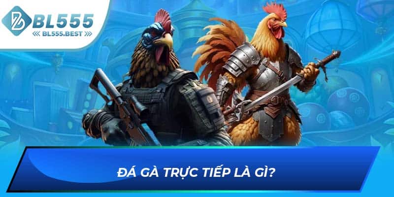 Đá gà trực tiếp là gì?