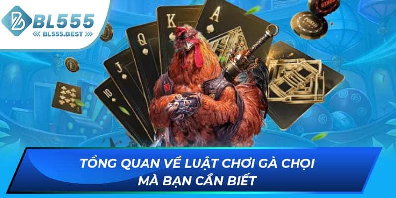 Tổng quan về luật chơi gà chọi mà bạn cần biết