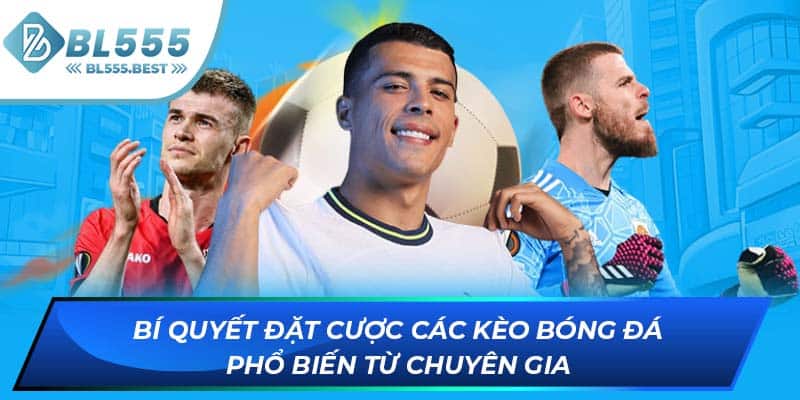 Bí quyết đặt cược các kèo bóng đá phổ biến từ chuyên gia