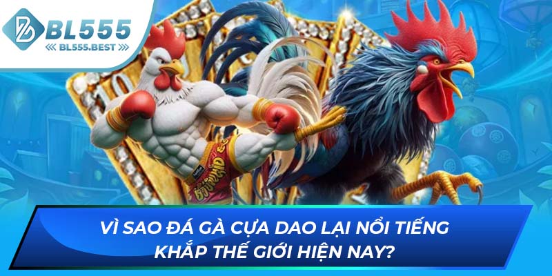 Vì sao đá gà cựa dao lại nổi tiếng khắp thế giới hiện nay?