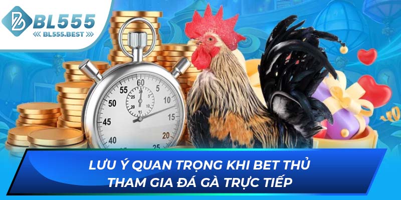 Lưu ý quan trọng khi bet thủ tham gia đá gà trực tiếp