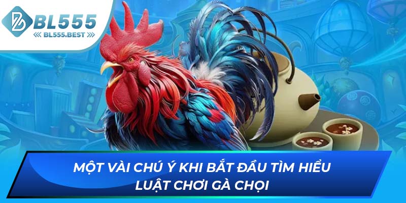 Một vài chú ý khi bắt đầu tìm hiểu luật chơi gà chọi